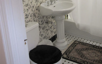 Yes, a Persian Bathroom Rug can Work in your Home!