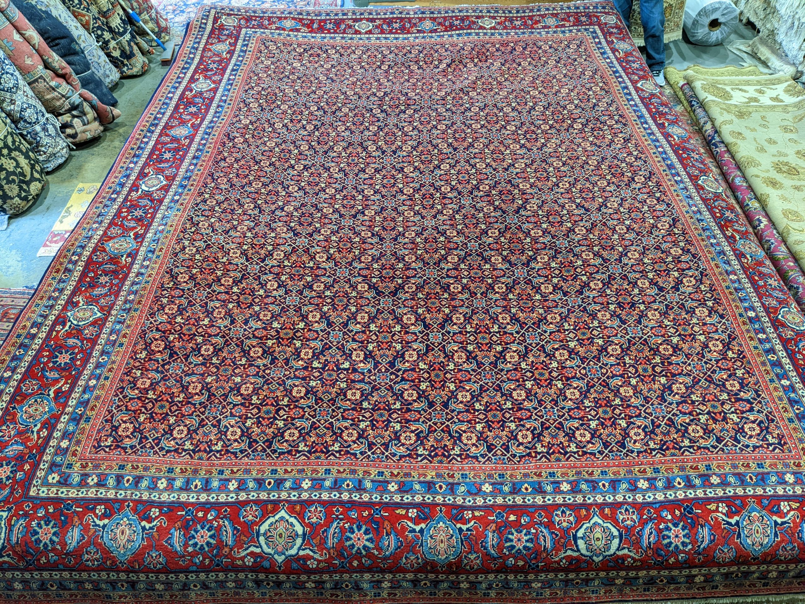 Room-Sized Herati Sarouk Rug